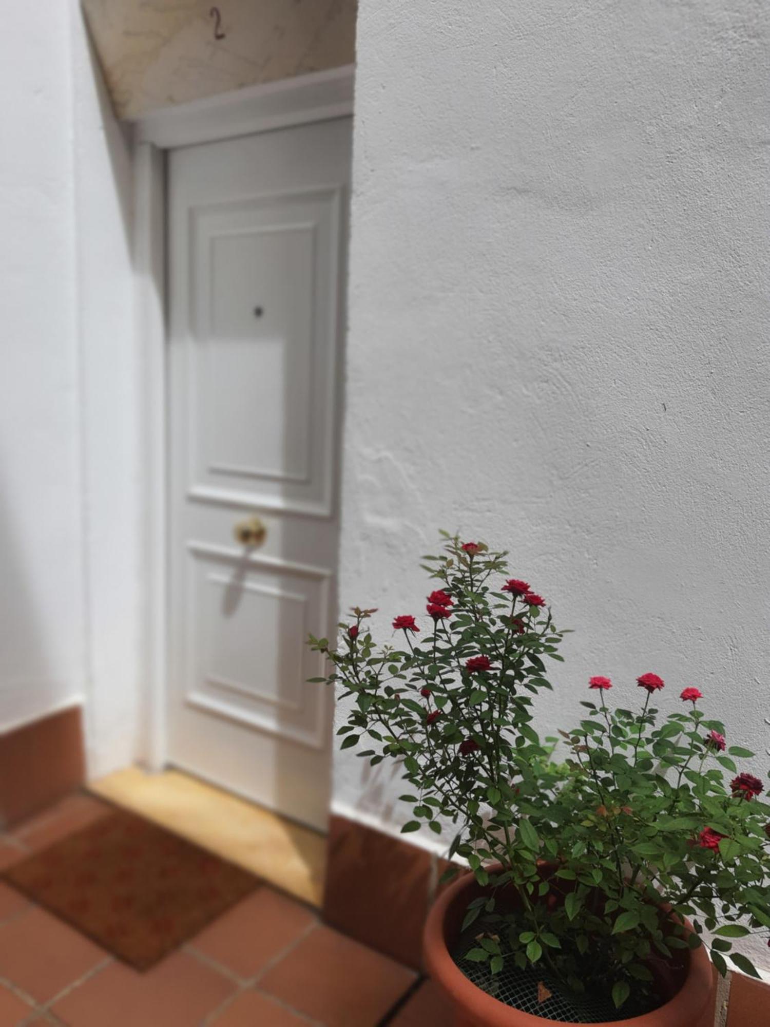 Apartament Centuria Macarena, Apartamento Duplex Sewilla Zewnętrze zdjęcie